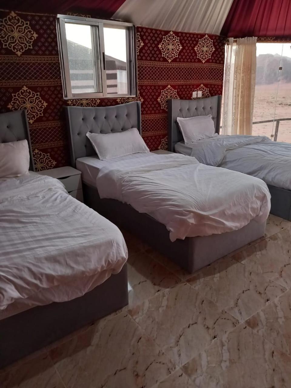 Joy To Wadi Rum Ngoại thất bức ảnh